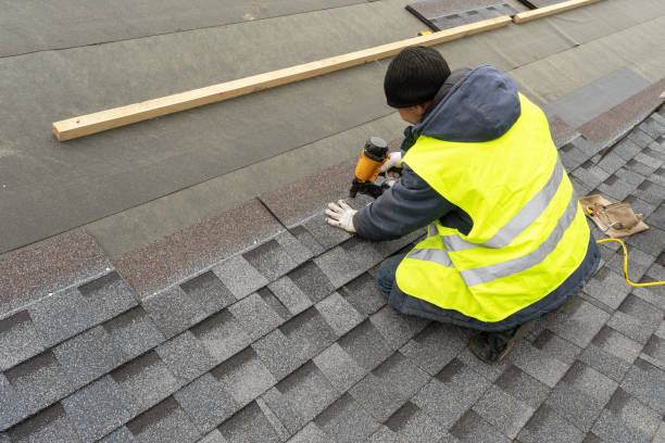 Best Roof Gutter Cleaning  in Ettrick, VA